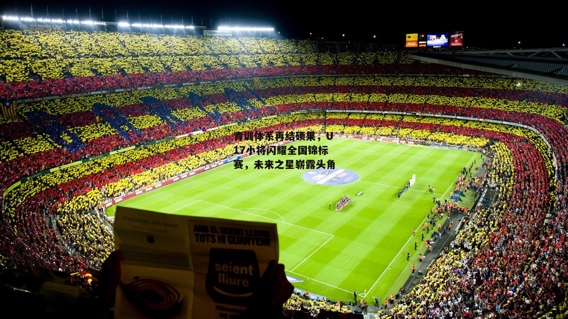 青训体系再结硕果，U17小将闪耀全国锦标赛，未来之星崭露头角