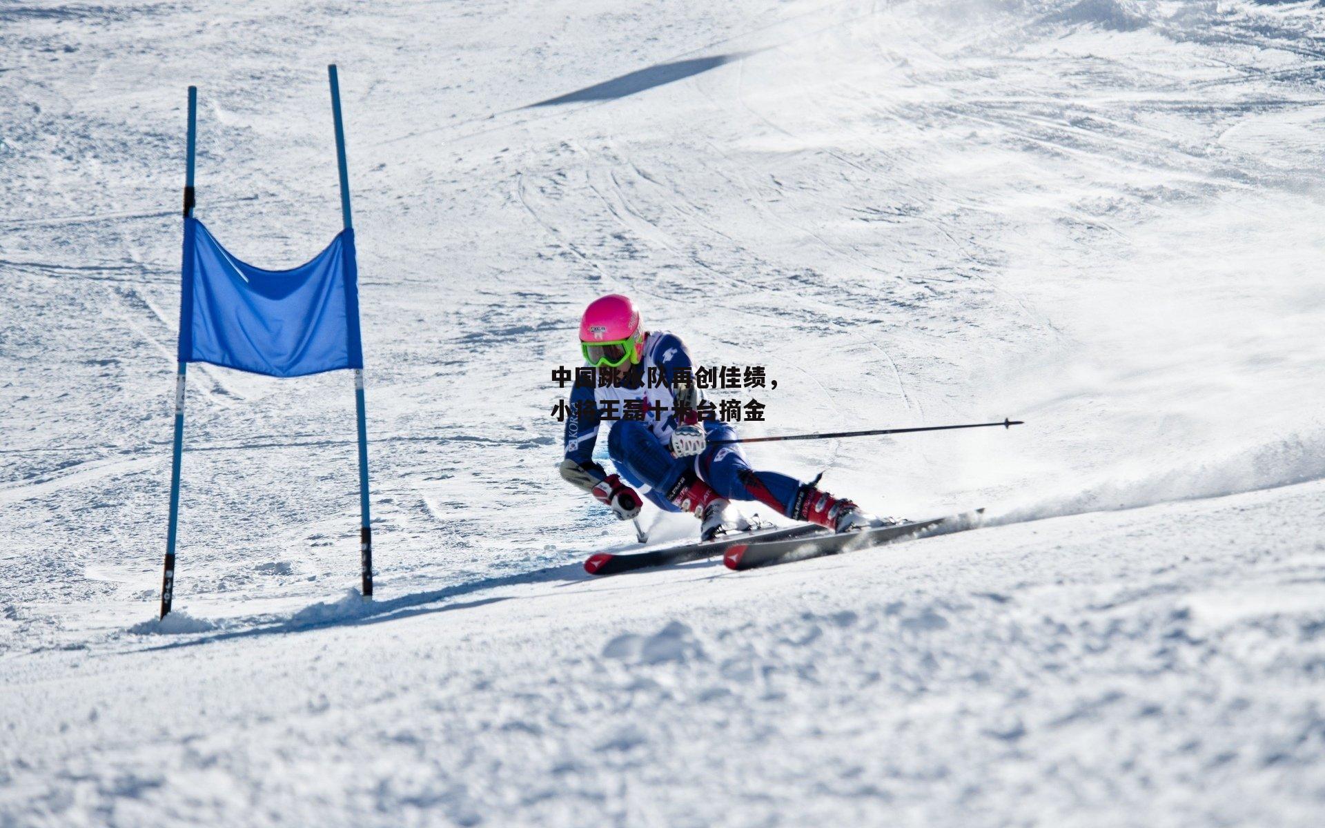 中国跳水队再创佳绩,小将王磊十米台摘金